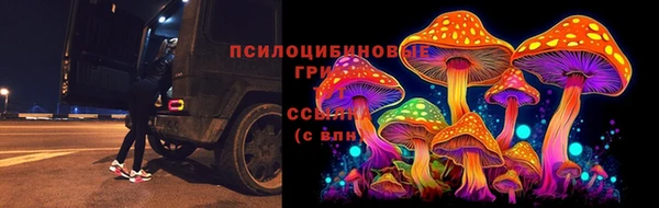 индика Богородицк