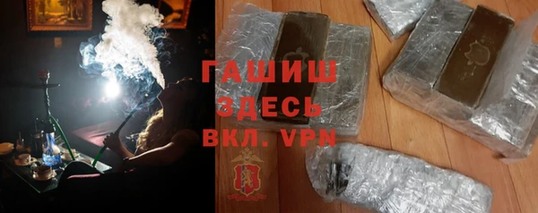 индика Богородицк