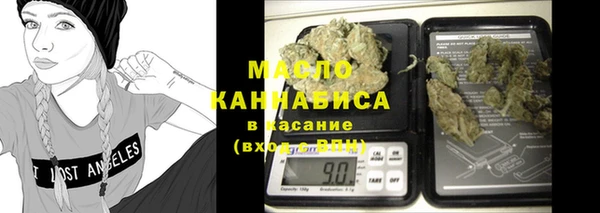 индика Богородицк
