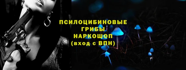 индика Богородицк