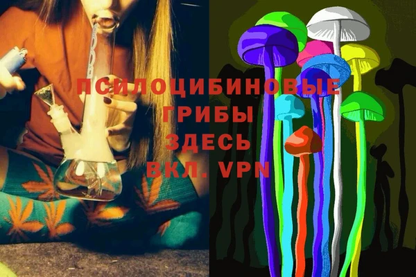 индика Богородицк