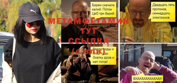 индика Богородицк