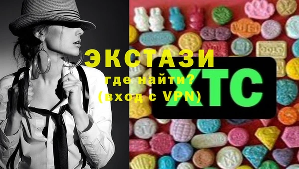 индика Богородицк