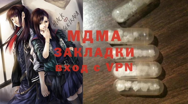 индика Богородицк