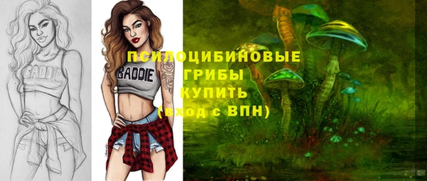 индика Богородицк