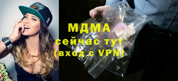 индика Богородицк
