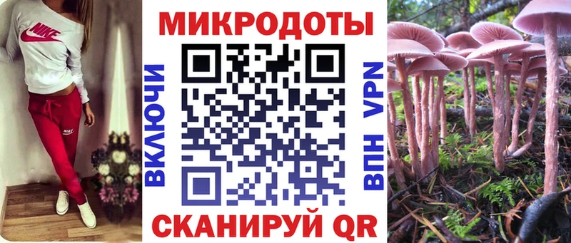 Псилоцибиновые грибы GOLDEN TEACHER  Ейск 